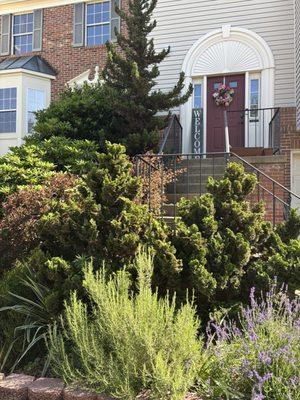 C Landscape & Power Wash