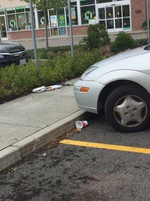 RK Parkway Plaza of West Roxbury -- 1230 VFW Parkway, West Roxbury TRASH!