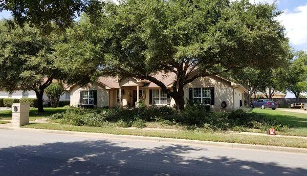 High Plains Tree & Landscape