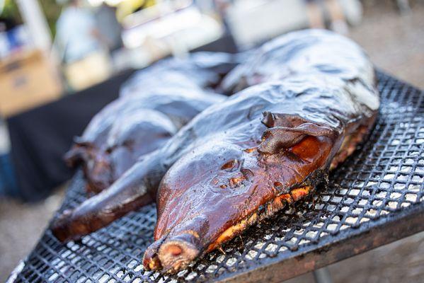 Pollards Test Kitchen