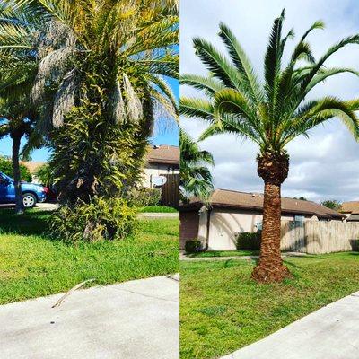 Wright Way Landscaping and Preservation