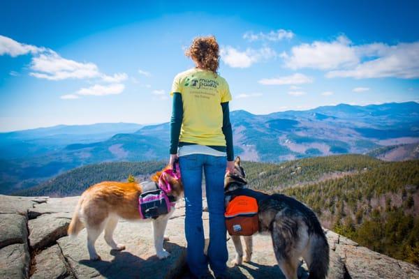 Mama Paw's School for Dogs