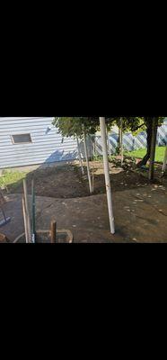 C&S Handyman Service