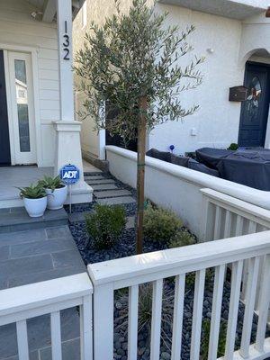 Vasquez Landscape & Maintenance