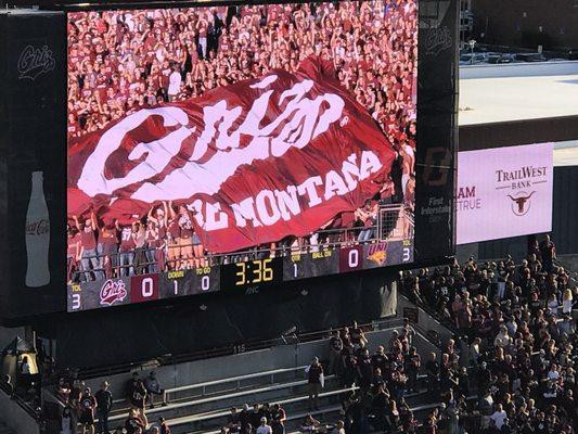 Washington Grizzly Stadium