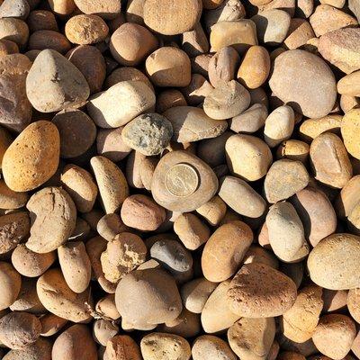 Sunburst Mexican Beach Pebbles Small