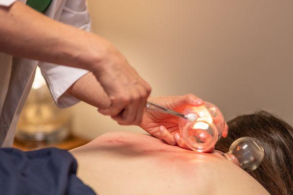 Prescription Earth Acupuncture & Herbal Medicine