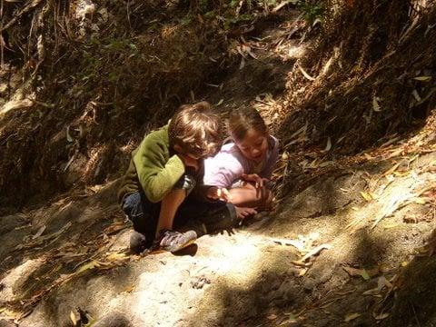 Fiddleheads Social Skills Group