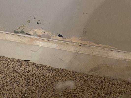 Taramore by Pulte Homes