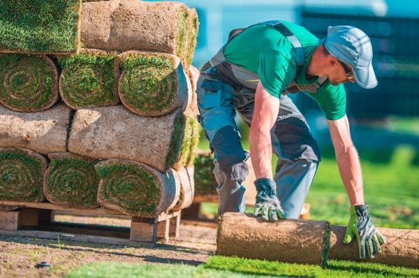 Las Hormigas Recycling And Hauling