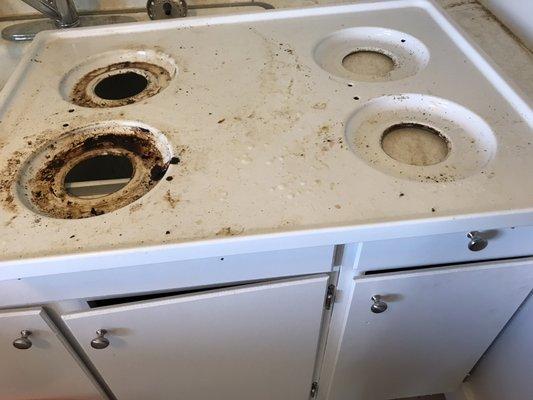 Zane's Cleaning Plus