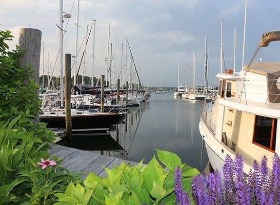 Cove Haven Marina docks.