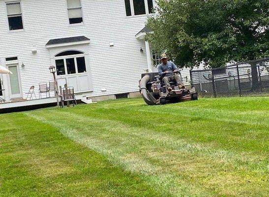 Reliable Landscaping