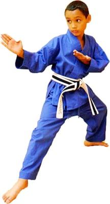 Simon age 7 in 2010. Now a Brown belt receiving his black belt in less than 2 years