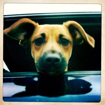 Can we go? Can we go? Can we go??!!!!!