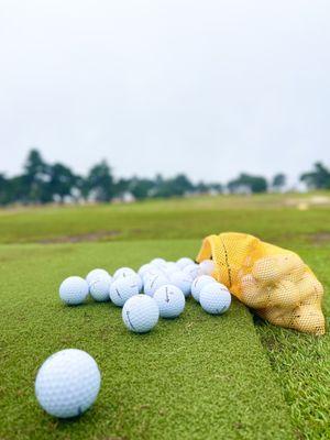 Bayonet & Black Horse