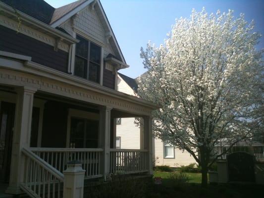March 2012 early bloom