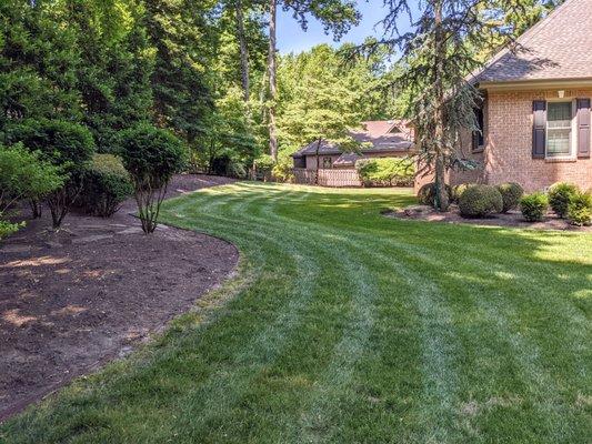 Green Turf Pros Eco Friendly Lawn Solutions