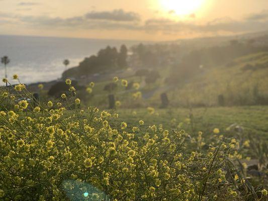 Korean Bell of Friendship