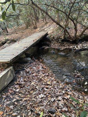 Bent Creek Experimental Forest