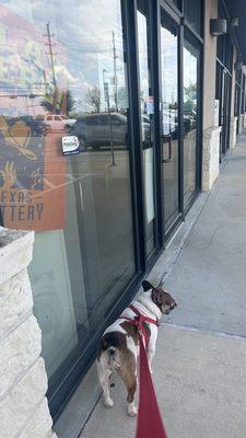 Pet Check Animal Clinics