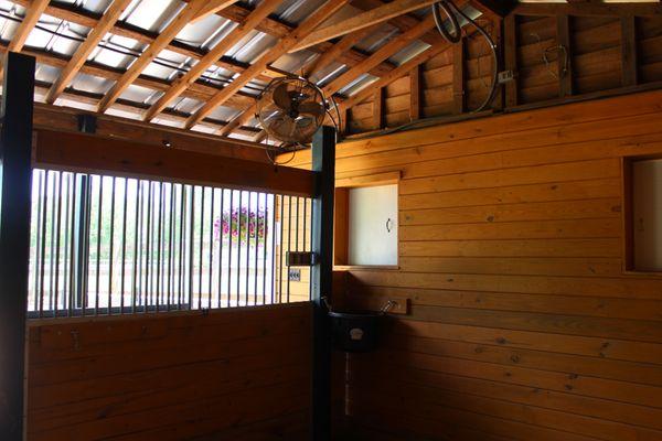 Cat Jumped Over the Moon Farm