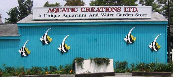 Aquatic Creations Ltd