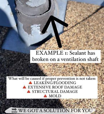 Descaling and Roof Proof Guy