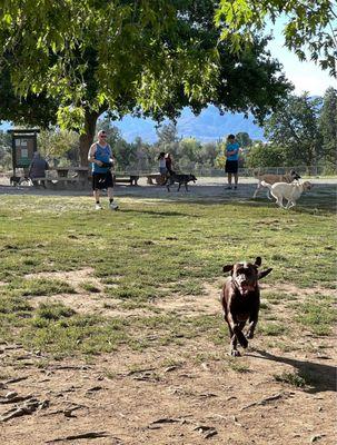 Redding Dog Park