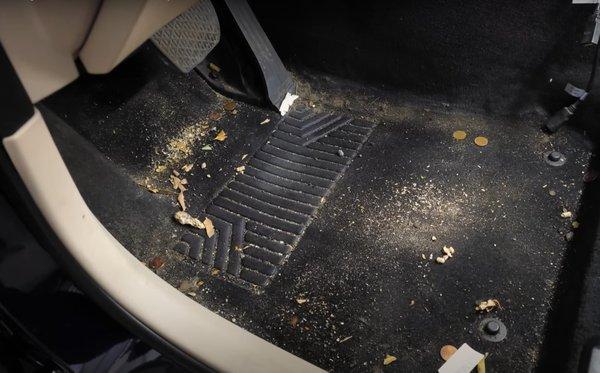 Preston Hollow Mobile Detailing