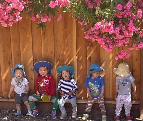 Qinghua Family Daycare