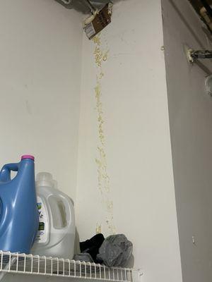 How they decided to "patch up" a potential entrance for rats in my unit