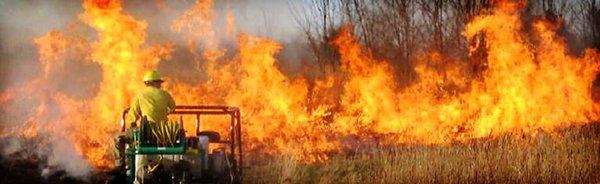 Tallgrass Restoration
