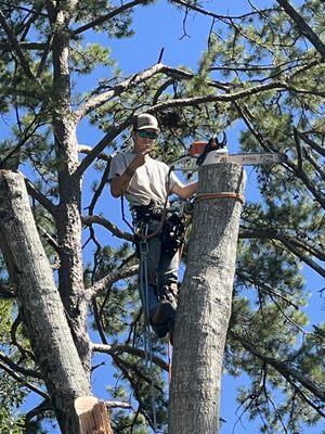 Simmons Tree Service