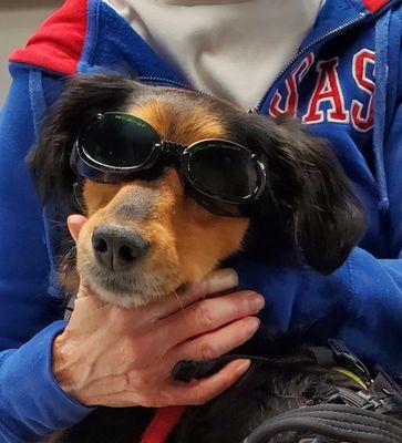 Arbor Creek Animal Hospital