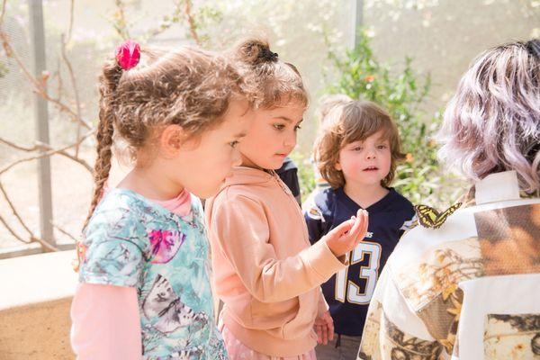 Aventuras Forest School