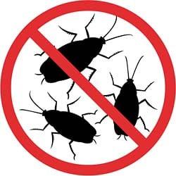 Mercury Termite & Pest Control