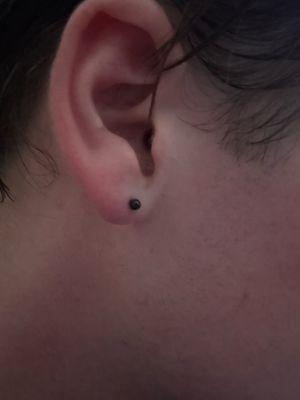 Exotic Impressions Body Piercing