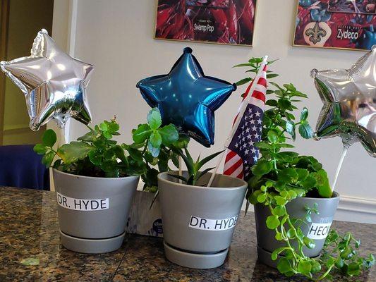 Fourth of July weekend visitors saw what had been dying plants coming back to life....what you see is what we got.