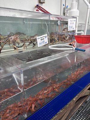 Four Oceans Seafood Inc