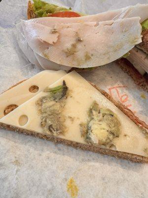 Great Harvest Bread