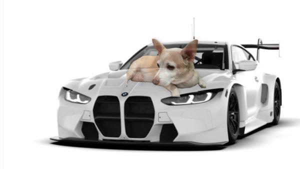 Andres and Maria Cardenas Elementary School