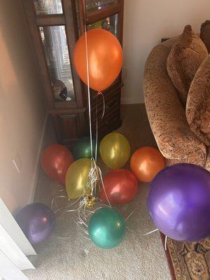 Pretty Funny Balloons