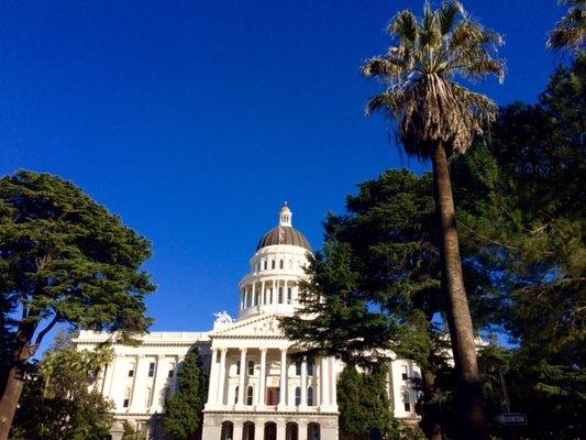 Top Tier Investigations