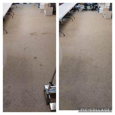 High Performance Carpet Care