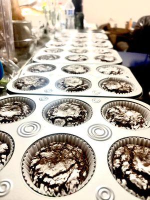 Moonlight SugarBloomy