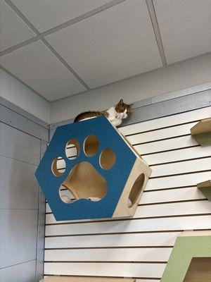 Fresno Humane Animal Service