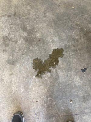 Fred Anderson Kia of Greenville