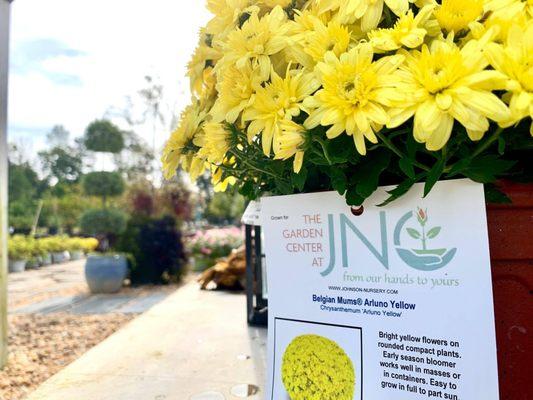 Johnson Nursery - The Garden Center