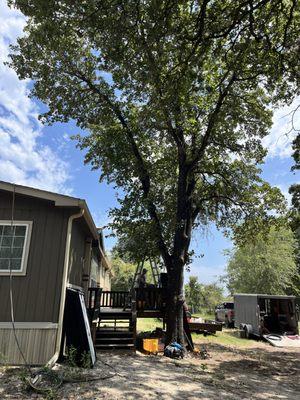 C&S Landscape Service’s